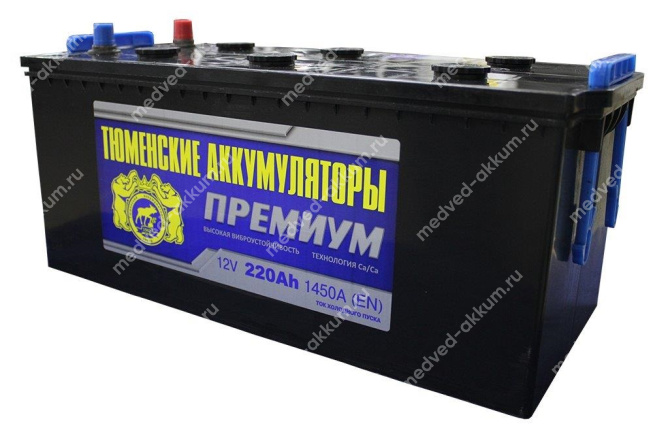 Тюмень Premium 220 Ач евро сух. B
