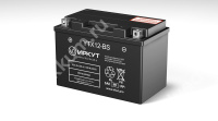 Иркут 10 Ач YTX12-BS AGM