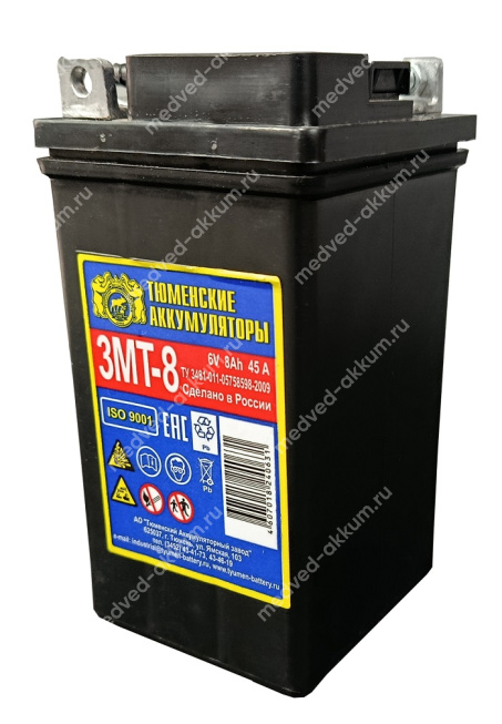 Тюмень 8 Ач 6V, сух
